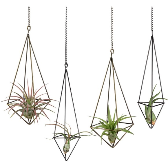 Hanging Geometric Air Plant Holder with Metal Chains, 4 Pack, 2 Sizes - Picture 1 of 5